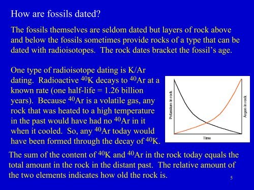 Evidence for Evolution.pdf