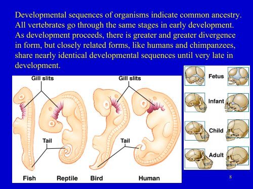 Evidence for Evolution.pdf