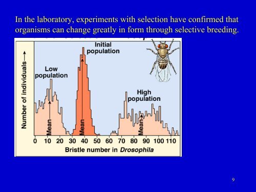 Evidence for Evolution.pdf