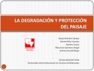 la degradacion y proteccion del paisaje - Métodos de Investigación