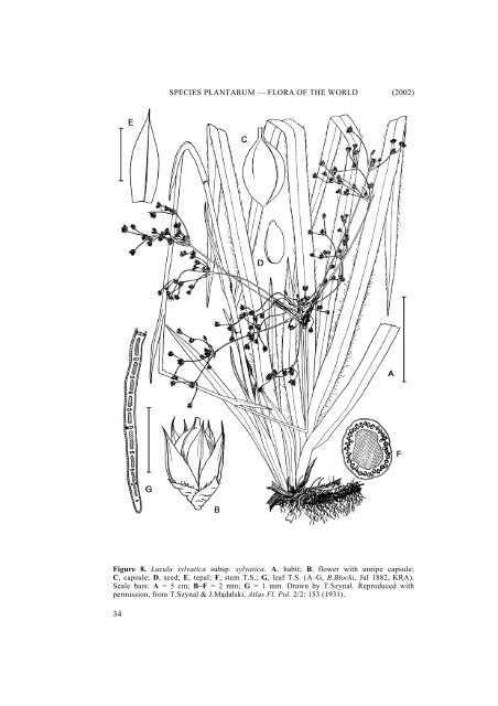 Part 6. JUNCACEAE 1: Rostkovia to Luzula - Species Plantarum ...