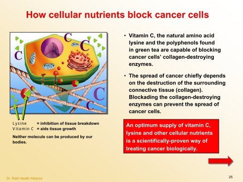 Cellular Medicine Foundation Course Cellular Medicine