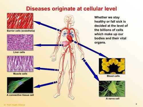 Cellular Medicine Foundation Course Cellular Medicine