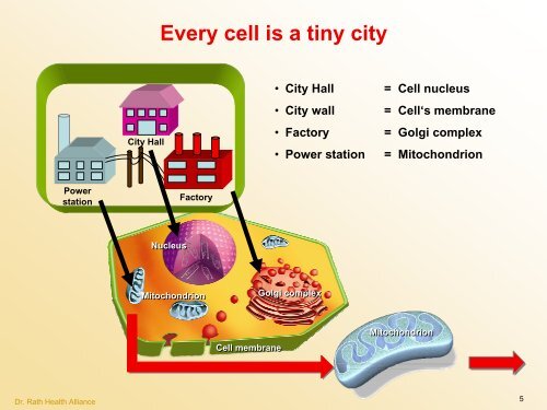 Cellular Medicine Foundation Course Cellular Medicine