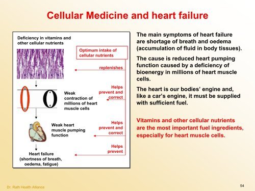 Cellular Medicine Foundation Course Cellular Medicine