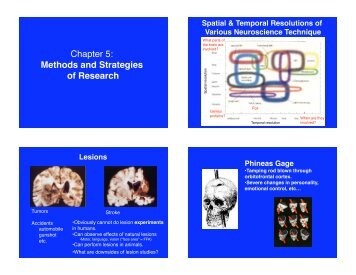 Chapter 5: Methods and Strategies of Research - Liz Walter Shelly