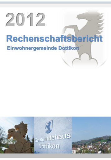 Rechenschaftsbericht 2012 - Dottikon