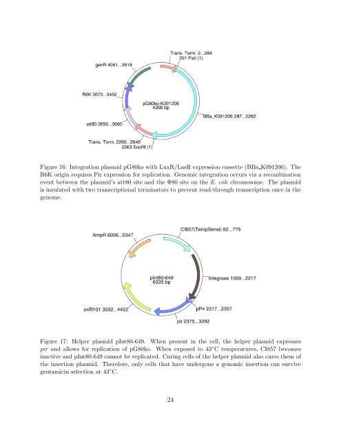 Davidson College Department of Biology Honors Thesis Title ...