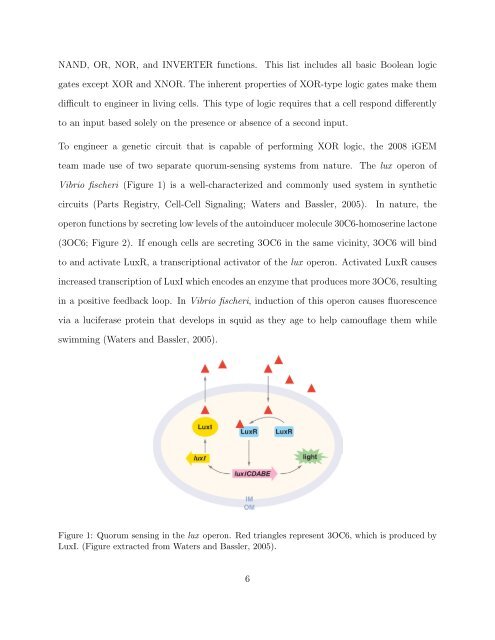 Davidson College Department of Biology Honors Thesis Title ...