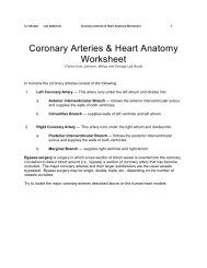 Coronary Arteries & Heart Anatomy Worksheet