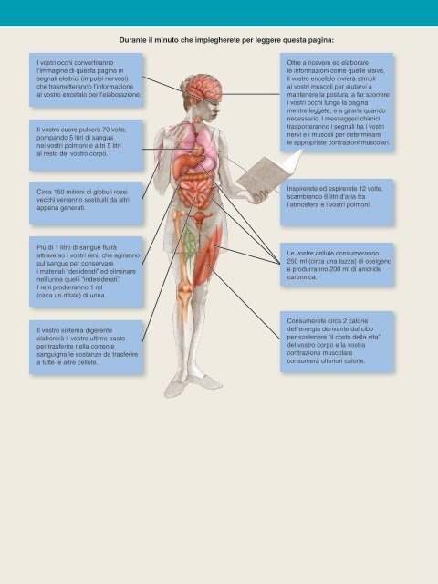 Fondamenti di Fisiologia Umana - Piccin