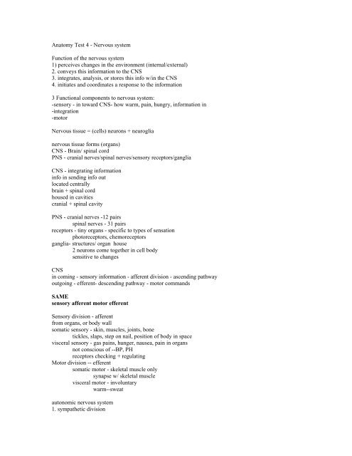 Anatomy Test 4 - Nervous system