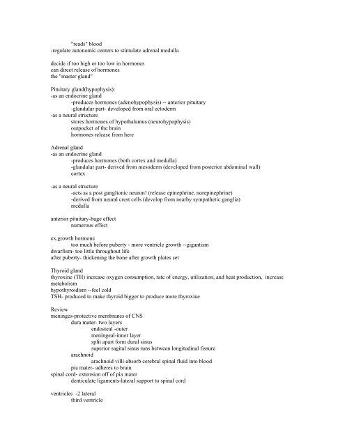 Anatomy Test 4 - Nervous system