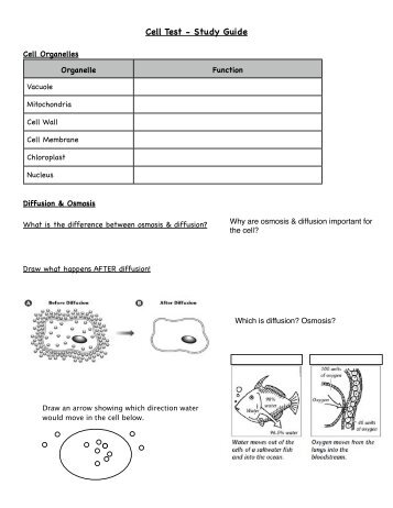 Cell Test StudyGuide - Century Life Science