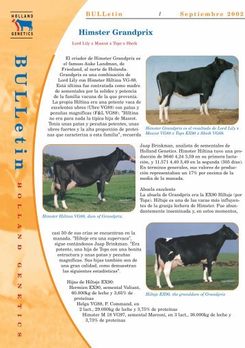 boletÃ­n toros holandeses grandprix