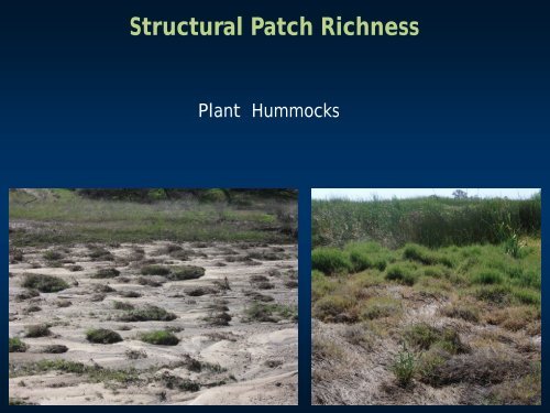 Structural Patch Richness - Cram