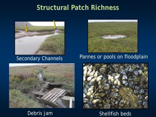 Structural Patch Richness - Cram