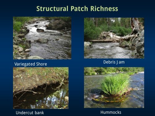 Structural Patch Richness - Cram