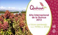 2013 AÃ±o Internacional de la Quinua - FAO