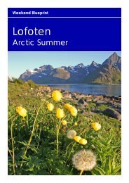 Lofoten Arctic Summer Blueprint (07-WKB)