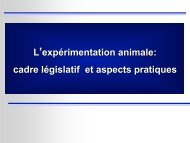 L'expÃ©rimentation animale: cadre lÃ©gislatif et aspects ... - Urofrance