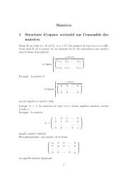 Matrices 1 Structure d'espace vectoriel sur l'ensemble des matrices
