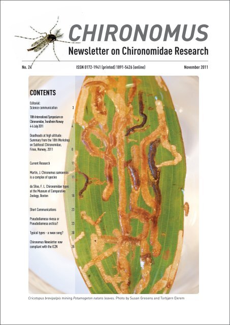 Front page Chironomus 24 - Insect Division