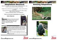 Amazing Adaptations 11 - 15.pub - Wellington Zoo