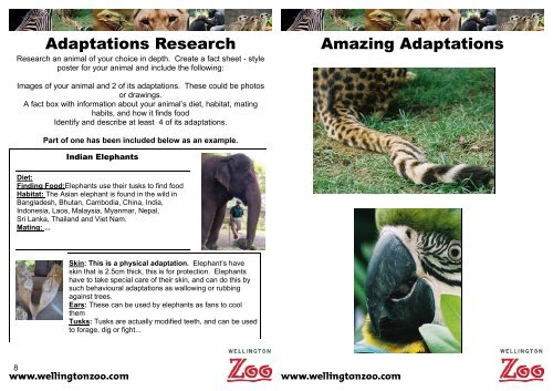Amazing Adaptations 11  - Wellington Zoo