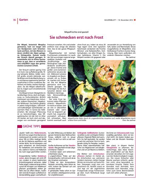 Gräber für den Winter dekorieren lassen - Bauernblatt Schleswig ...