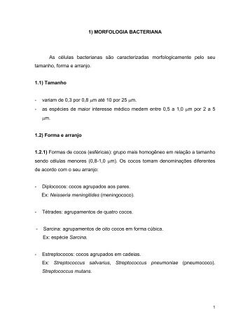 1) MORFOLOGIA BACTERIANA As cÃ©lulas bacterianas sÃ£o ...