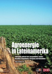 Agroenergie in Lateinamerika - FDCL