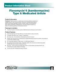 FLAVOMYCIN - Merck Animal Health