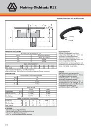 Nutring-Dichtsatz K52