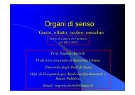 Organi di senso - Farmacia - Università degli Studi di Siena