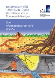 InformAtIon für HAuSEIgEntümEr Wurzeleinwuchs - Stadtbetrieb ...