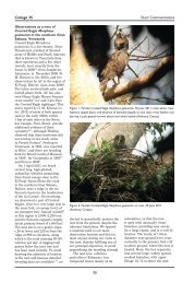 Observations at a nest of Crested Eagle Morphnus guianensis in the ...
