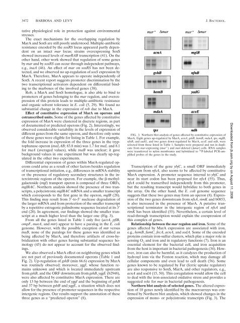 Differential Expression of over 60 Chromosomal Genes in ...