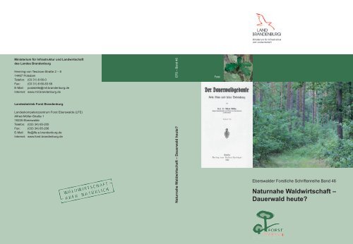 Naturnahe Waldwirtschaft-Dauerwald heute? - Landesbetrieb Forst ...