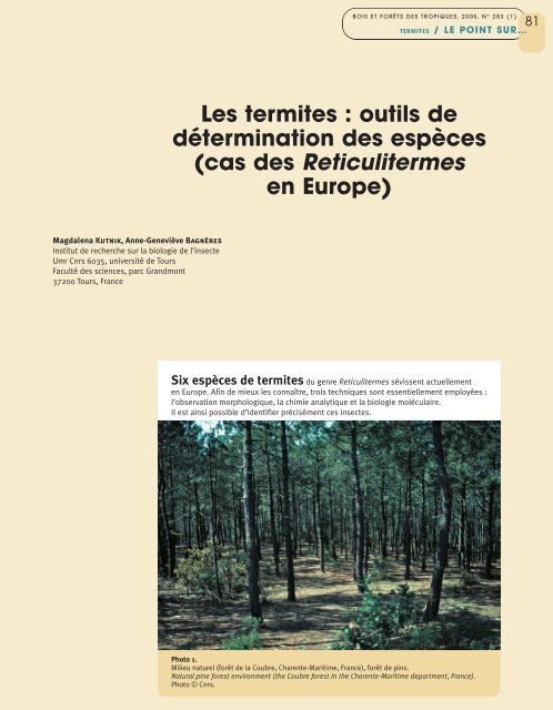 outils de détermination des espèces - Bois et forêts des tropiques