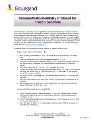 Immunohistochemistry Protocol for Frozen Sections - BioLegend