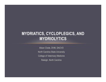 2012 Mydriatics and Cycloplegics for attendees.pptx