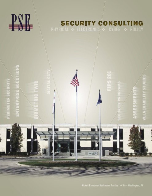 Security Consulting - Professional Systems Engineering, LLC
