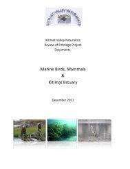 Marine Birds, Mammals & Kitimat Estuary