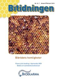 Bitidningen 2010 1/2 - Sveriges Biodlares RiksfÃ¶rbund