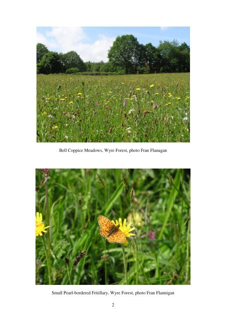 Shropshire Botanical Society Newsletter - Botanical Society of the ...