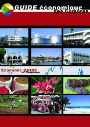 Guide Ã©conomique des Comores au format .pdf - PrÃ©sidence de l ...