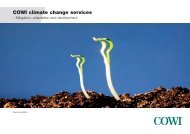 COWI climate change services (pdf)