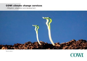 COWI climate change services (pdf)