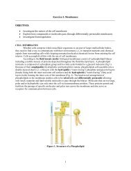 Exercise 3: Membranes